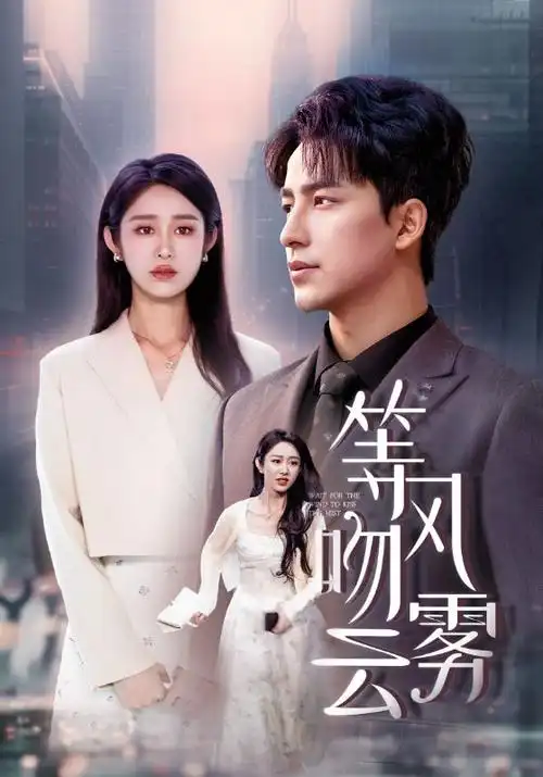 剧集：极速传说